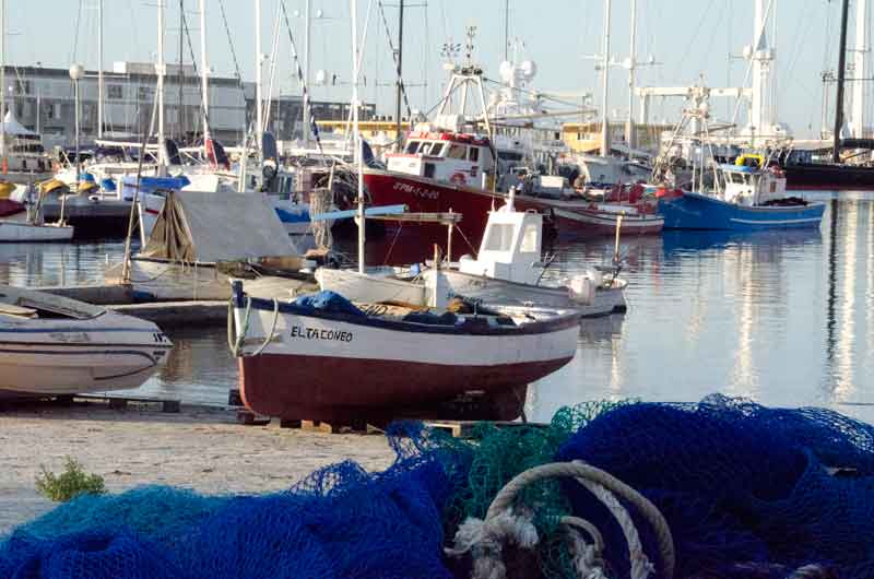 Mallorca - Palma 122 - puerto pescadores.jpg